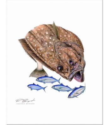 "Fluke"